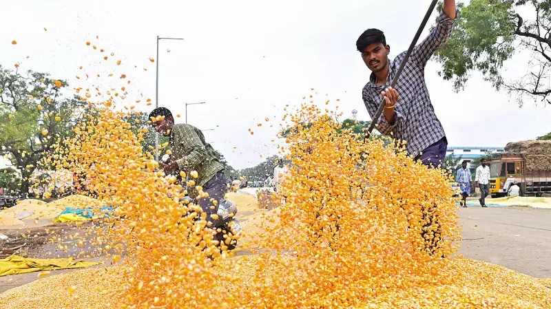 Karnataka Farmers Protest Over Delayed Maize Purchase Centers