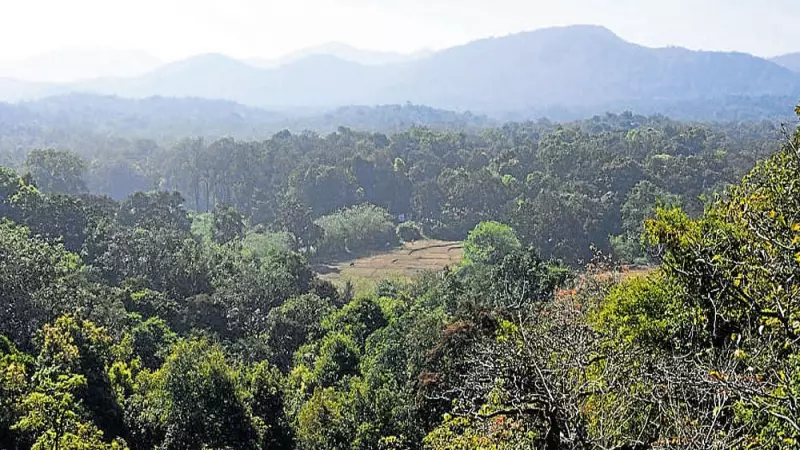 Karnataka Forest Department Strikes: Arasinamakki Encroachments Cleared in Major Operation