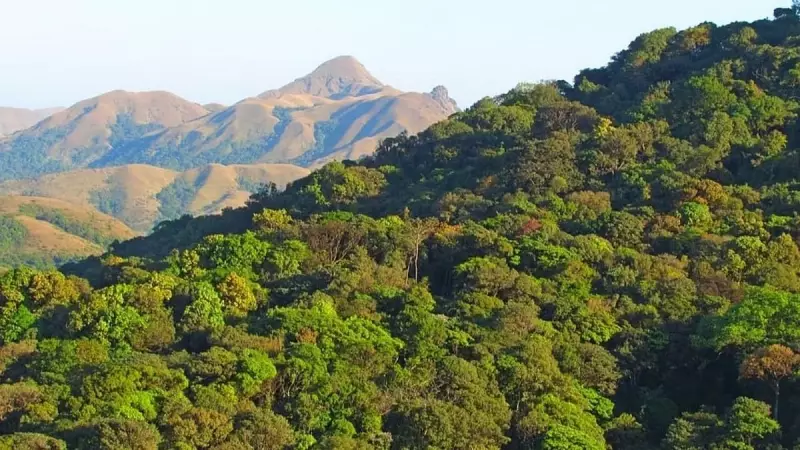 Karnataka Forest Dept Faces Rs 30,000 Crore Land Loss in Legal Battle