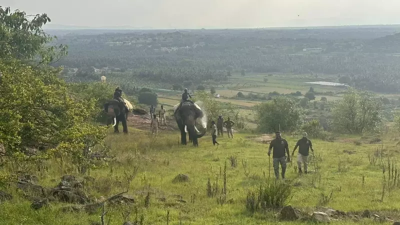 Karnataka Forms Special Task Forces to Tackle Rising Man-Animal Conflicts
