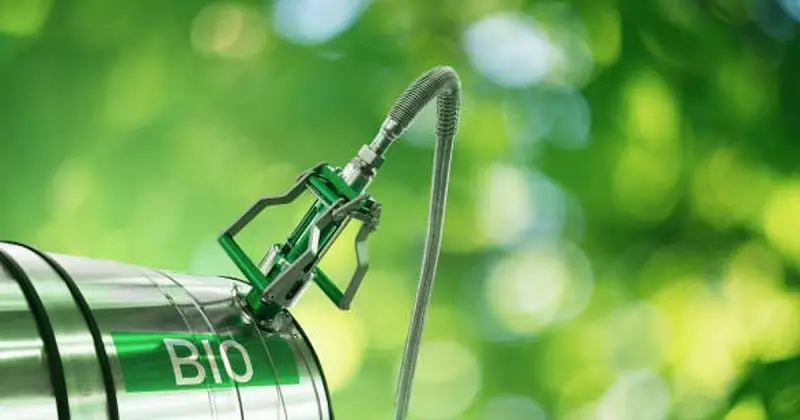 Karnataka's Green Fuel Revolution: Biodiesel Pumps Coming to Every Taluk