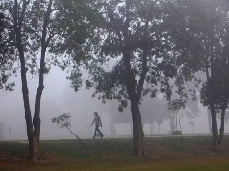 Lahore Tops Global Pollution Charts: Smog Crisis Worsens in Pakistani City