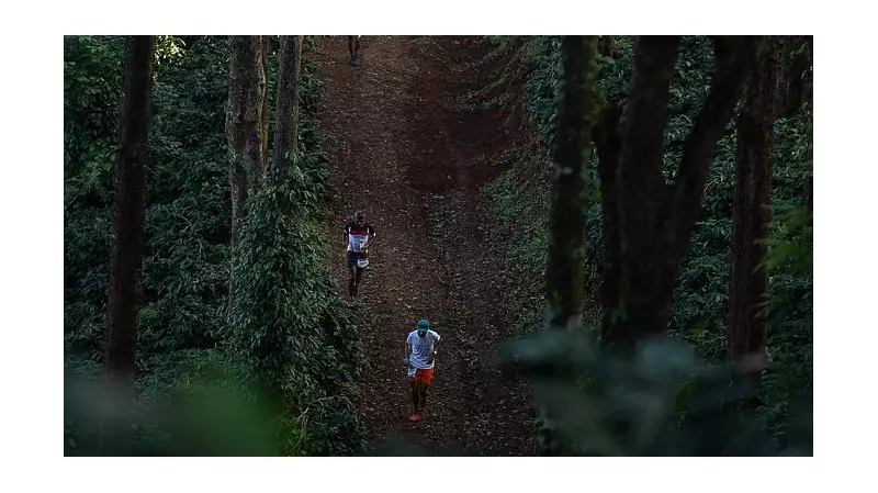 Malnad Ultra Marathon 2024: Chikkamagaluru's Trail Running Extravaganza Returns