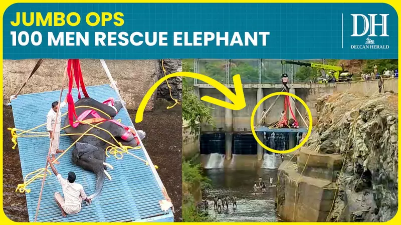 Massive 100-Member Team Rescues Wild Elephant Trapped in 60-Foot Canal