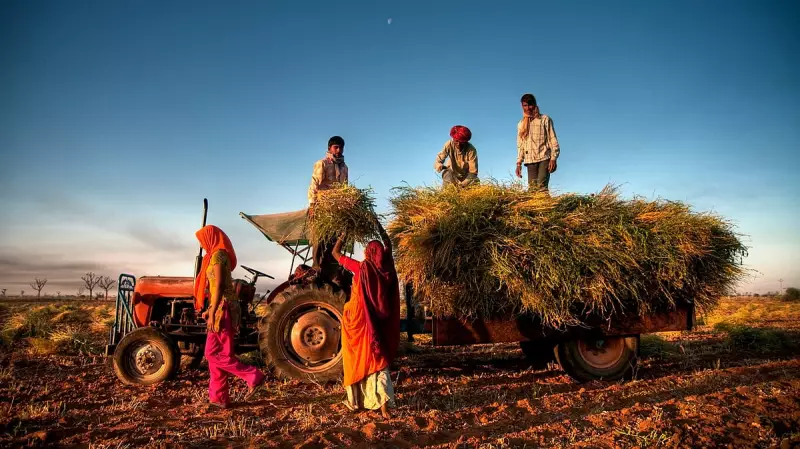 Microbial Marvel: How Tiny Organisms Could Solve Global Hunger Crisis