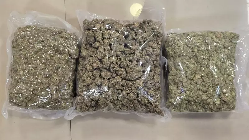 Mumbai Airport Drug Bust: DRI Seizes ₹42 Crore Worth of Hydroponic Weed Disguised as Food Items