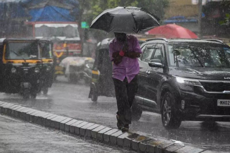 Mumbai Rains: Light Showers Drizzle Maximum City, More Rainfall Expected in Coming Days