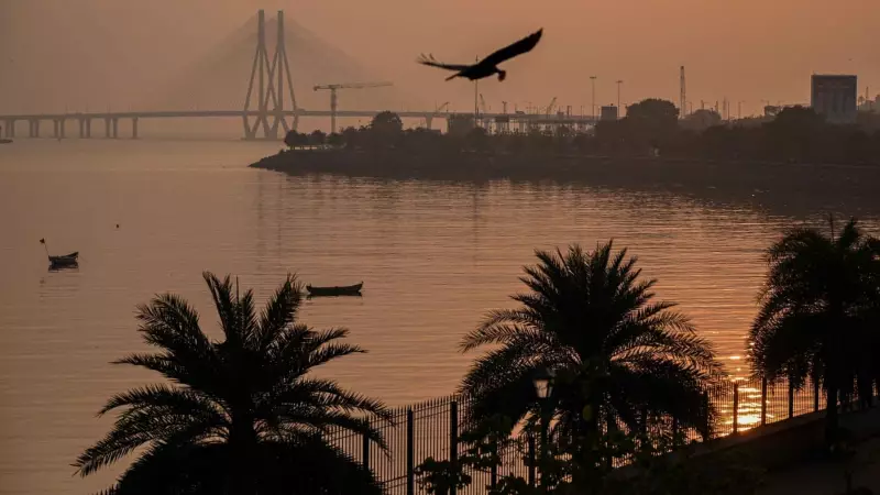 Mumbai Shivers: City Records Coldest November in a Decade - Mercury Plummets to Unseasonal Lows