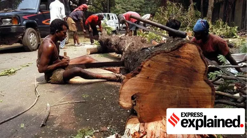 Mumbai's Tree Cover Crisis: SC Questions BMC Over Poor Survival Rate of Planted Saplings