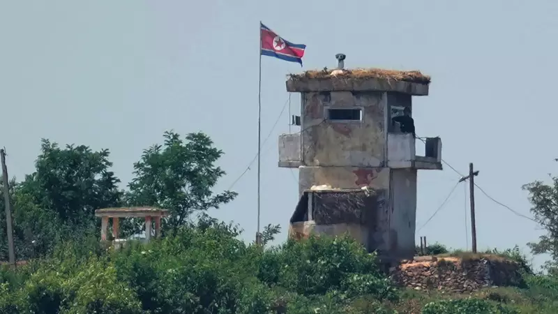 North Korean Soldier Makes Daring Defection Across Heavily Fortified DMZ to South Korea