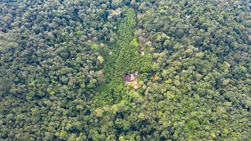 NTCA Orders Action Against Illegal Resorts in Kali Tiger Reserve