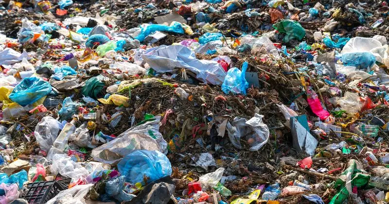 Panchkula DC Takes Action: Sector 21 Debris Removal Ordered for Public Safety