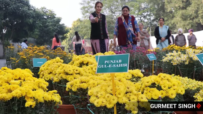 PAU Unveils 'Gul-e-Sahir' Chrysanthemum, a Lyrical Tribute to Poet Sahir Ludhianvi