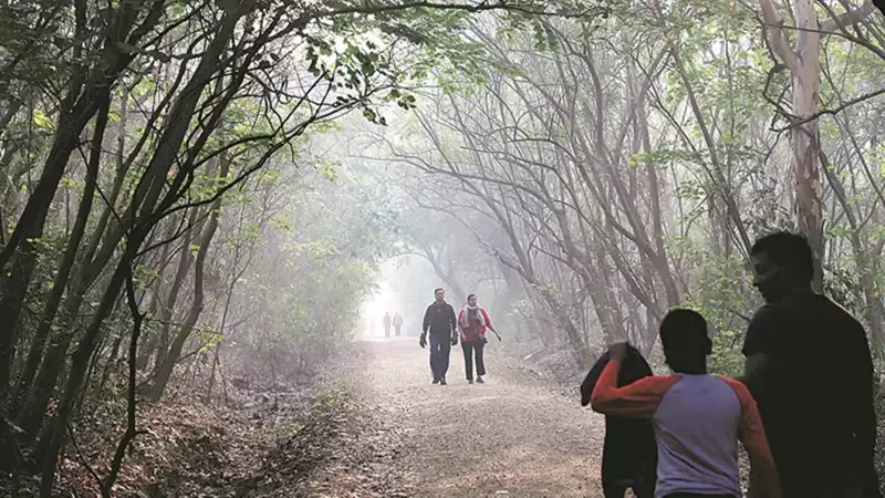 Pune's Winter Arrives Early: IMD Predicts Cooler November with Temperature Dip