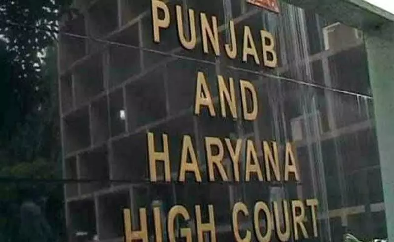 Punjab & Haryana HC Delivers Landmark Ruling: Religious Premises Cannot Shield Illegal Tenants