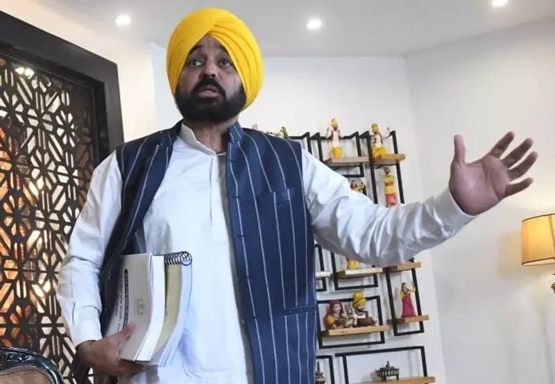 Punjab CM Bhagwant Mann Denies Stubble Burning Blame for Delhi Pollution
