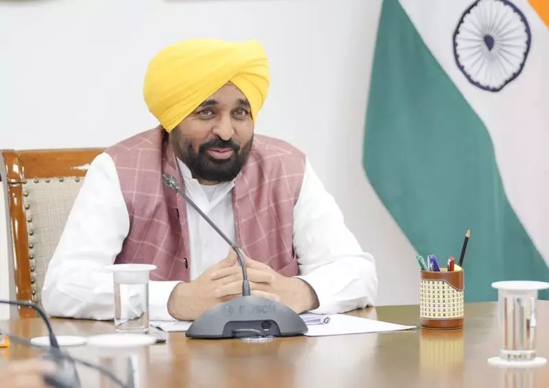 Punjab CM Bhagwant Mann Wins PU Senate Poll Schedule Approval