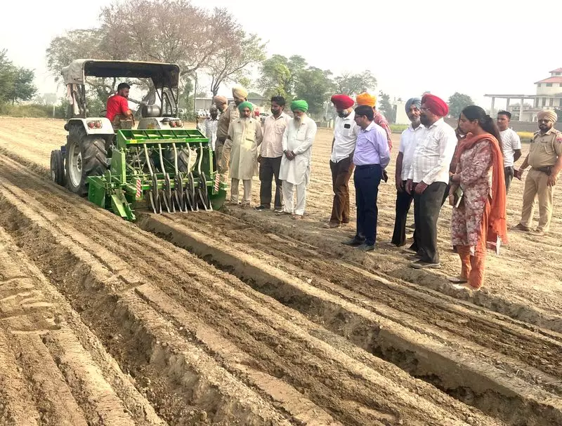 Punjab Farmer's Brilliant Water-Saving Method Cuts Costs by 75%!