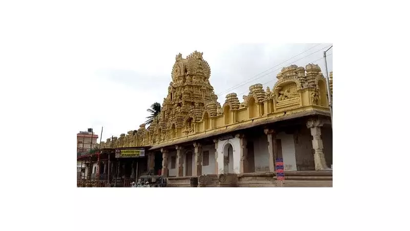 Rajamudi Ashtateerthotsava Unites After Decades in Karnataka | Historic Celebration Returns