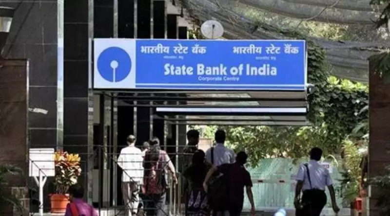 SBI Clerk Prelims Results 2025 Declared! Check Your Selection Status & Next Steps