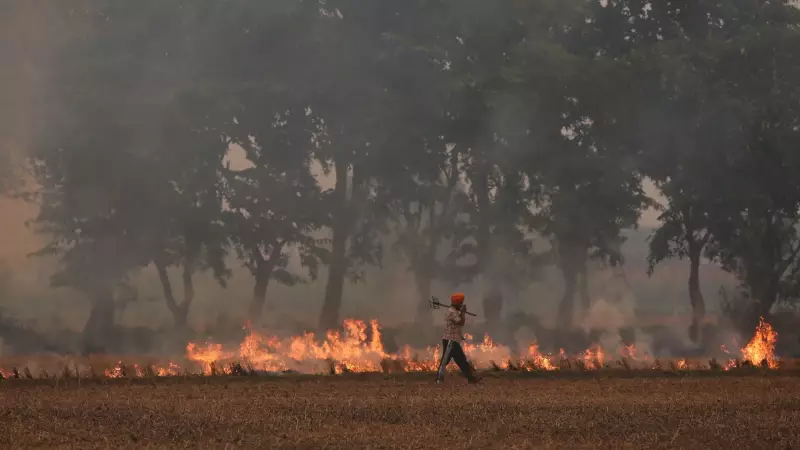 SC Demands Action Report from Punjab, Haryana on Stubble Burning Crisis