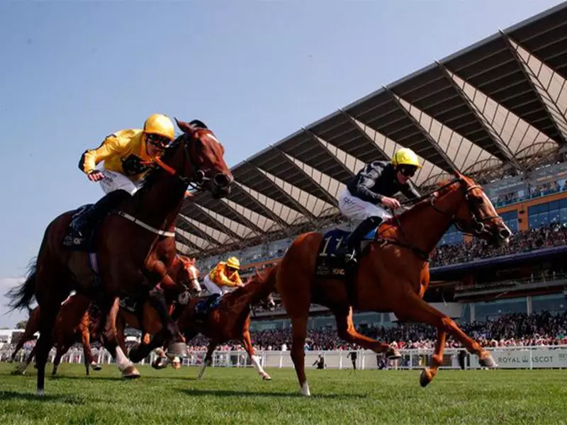 Sharjah Racecourse Season Opens Sunday with 8 Races