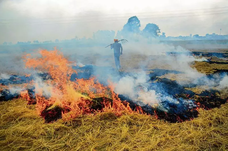 Stubble Burning Crisis: CAQM Holds Emergency Meeting with Punjab & Haryana Authorities