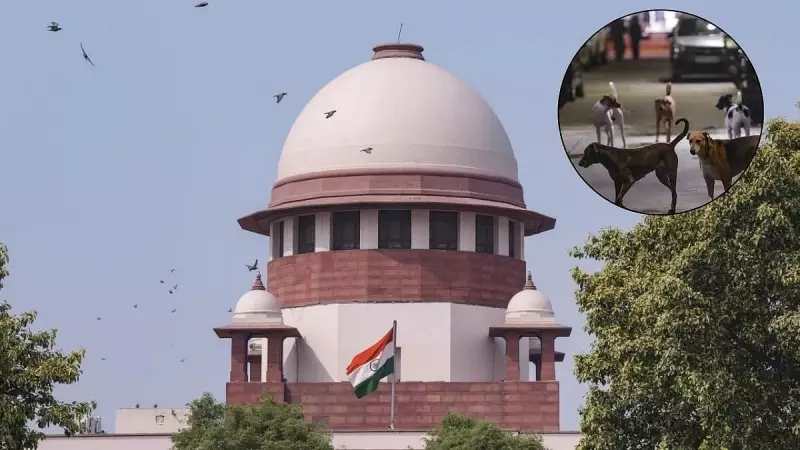 Supreme Court Cracks Down on Stray Dog Menace: Orders Immediate Removal from Schools & Hospitals