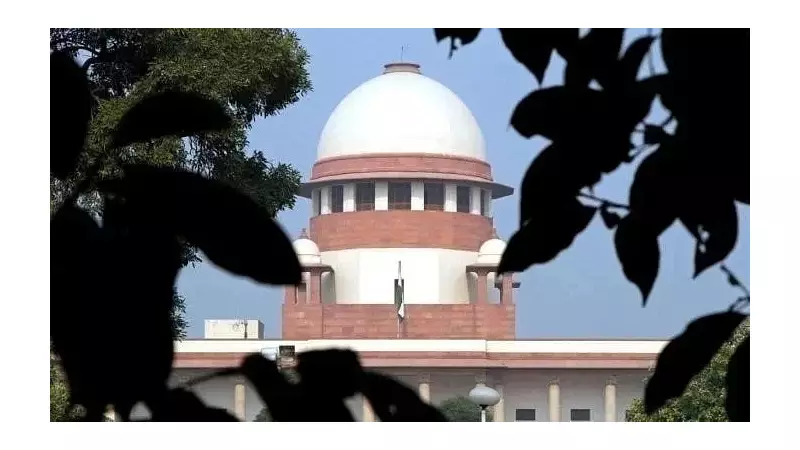 Supreme Court Slams MP High Court Over 4-Year Delay Condonation: 'Unfortunate' | Legal Crisis Deepens