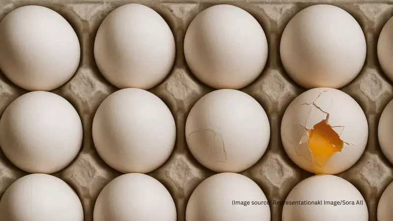 Swiggy User Fakes Damaged Eggs with AI, Gets Full Refund