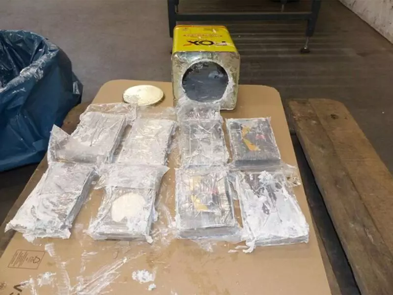 Taiwan Intercepts 4 Tons of Chinese Crab Shipment Contaminated with Banned Veterinary Drug