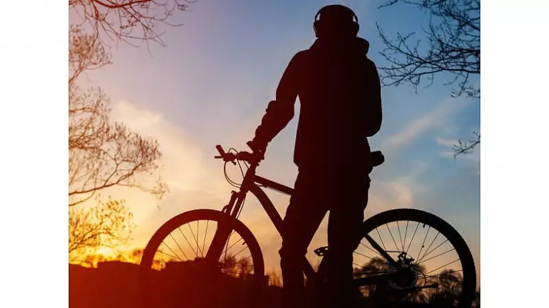 The Haunting Echoes of Partition: How Collective Memory Shapes India-Pakistan Relations