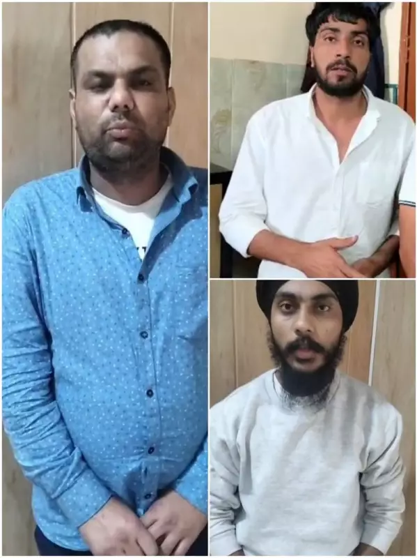 Three Jind Youths Deported from USA After Attempting 'Donkey Route' Immigration