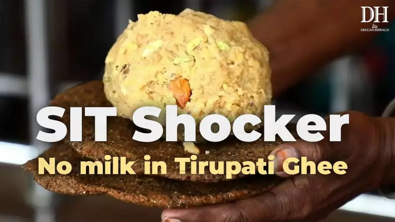 Tirupati Ghee Scandal: 100% Adulteration Found in Samples