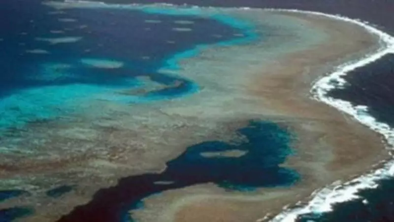 Tragedy on the Great Barrier Reef: Elderly Cruise Passenger Found Dead After Being Left Behind