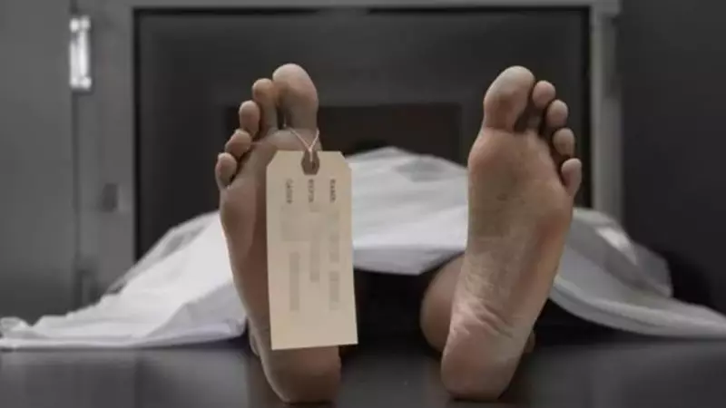 Tragic E-Rickshaw Accident in Delhi Claims Senior Citizen's Life, Leaves Two Injured