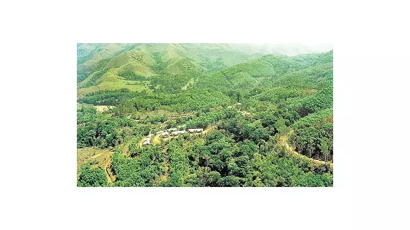 Tragic Elephant Attack Claims Two Lives in Kudremukh: Victims Awaiting Rehabilitation