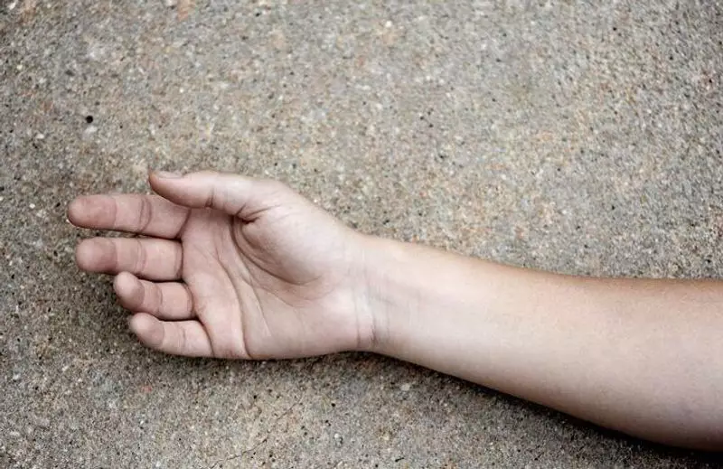 Tragic Hit-and-Run in Delhi: Woman Killed, One Arrested in Rohini Sector 22 Incident