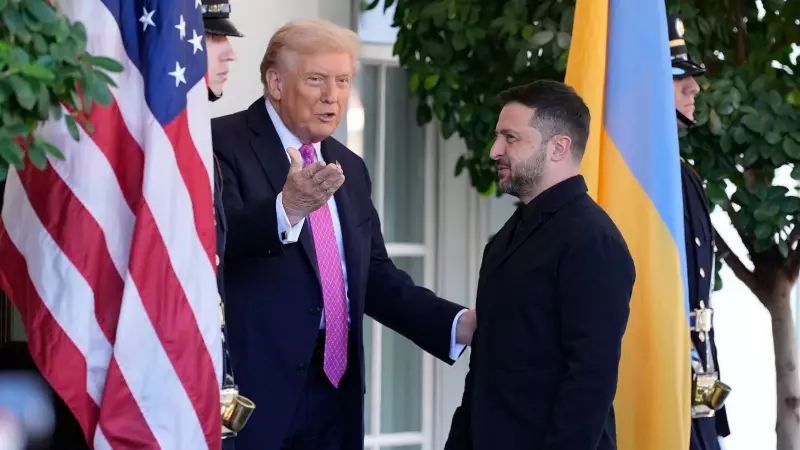 Trump's Shocking Advice to Zelenskyy: Make Concessions to Russia, Reveals Book