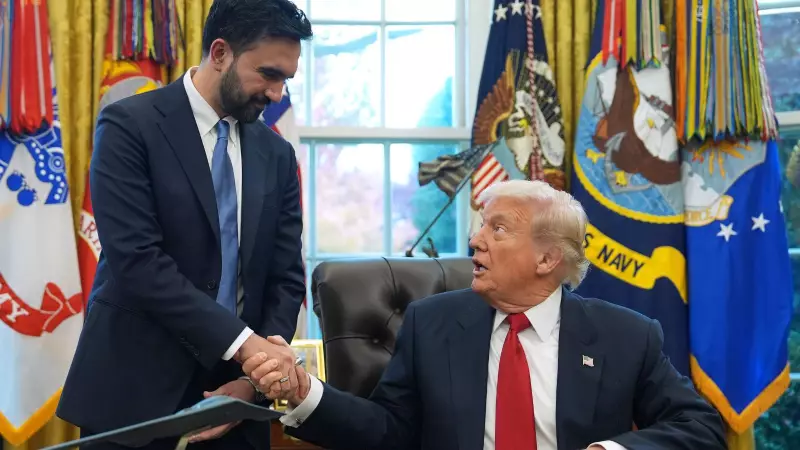 Trump's Stunning Shift: From 'Communist Lunatic' to 'Very Rational' on Mamdani