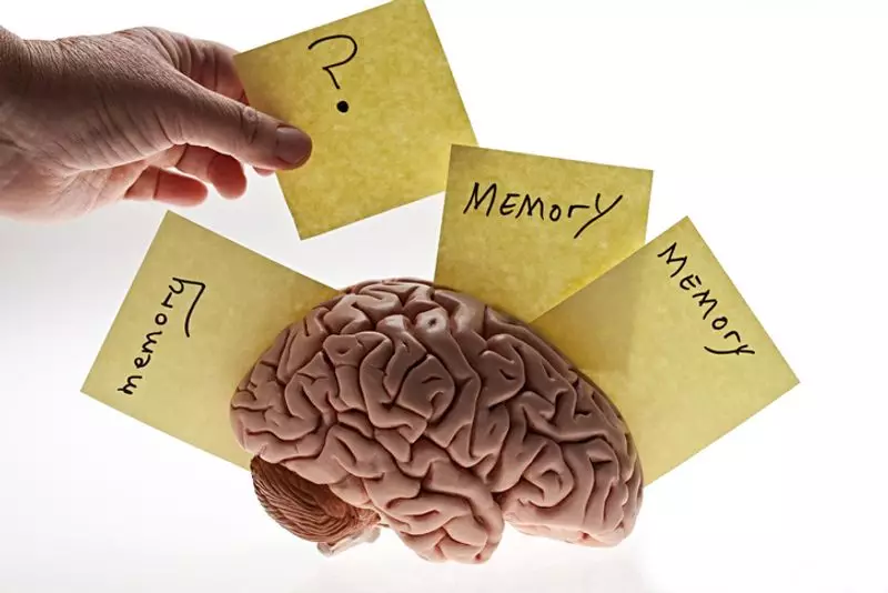Unlock Your Brain's Potential: How Spaced Repetition Can Rewire Your Memory Forever
