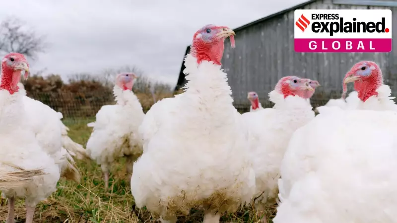 US Government Shutdown Could Cripple Bird Flu Monitoring: Global Health Crisis Looms