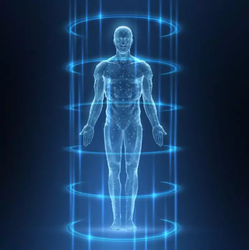 Vestigial Organs: 5 Evolutionary Leftovers in Human Body