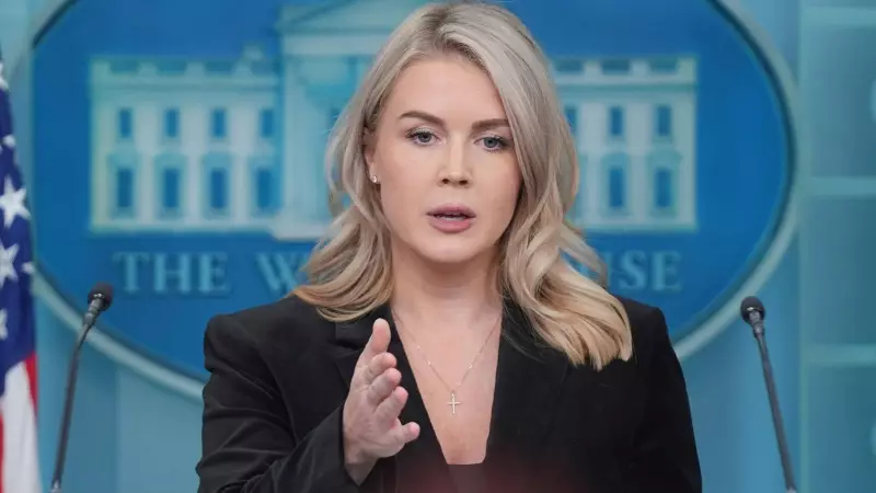 White House Spokesperson's Nephew Detained by US Immigration Agents