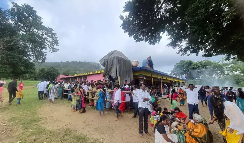 Wildlife Alert: Karnataka's Tourism Expansion in Beladakuppe Sparks Conservation Fears