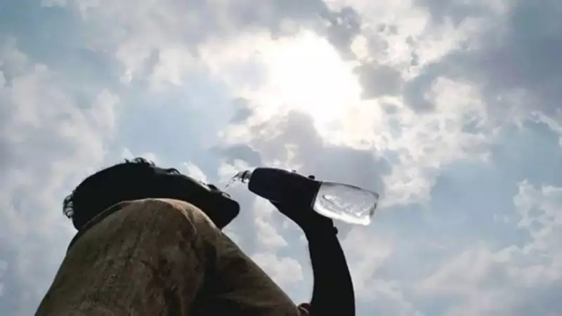 WMO Red Alert: 2024-2027 Set to Be Hottest Years Ever Recorded in India & Globally