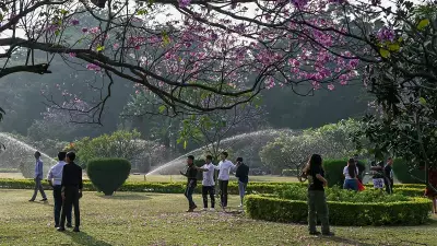 11-Day Flower Show at Bengaluru's Cubbon Park Begins November 27