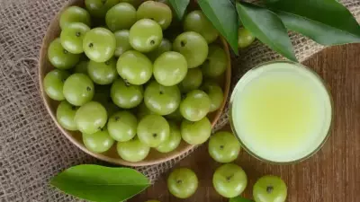 5 Winter Wellness Secrets of Amla: Boost Immunity & Fight Colds Naturally
