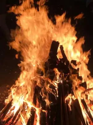 8 Surprising Facts About Lohri: The Vibrant Punjabi Harvest Festival