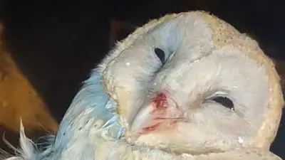 Bengaluru Urges Citizens to Protect Urban Wildlife, Save 185 Species